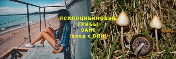 a pvp Абдулино