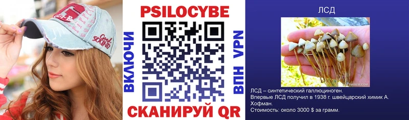hydra зеркало Кашин Псилоцибиновые грибы Psilocybe закладки